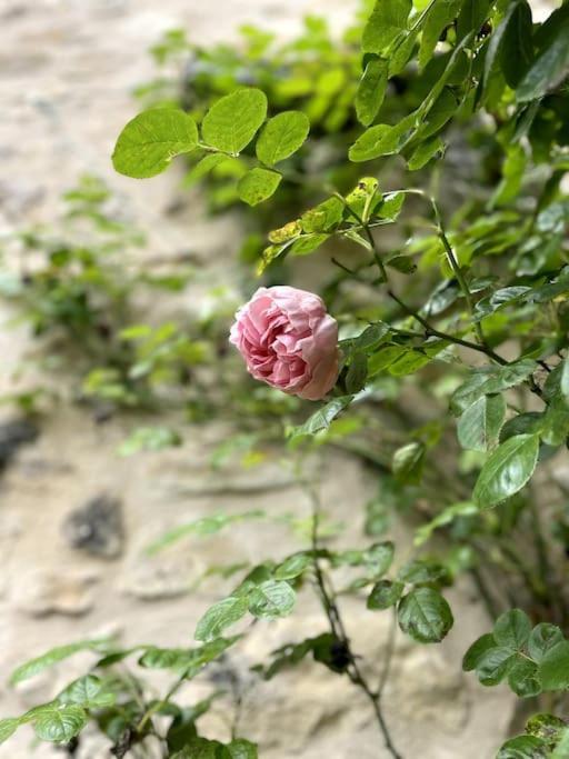 O Bonheurs Simples D'Ecorsaint Il Etait Une Fois Hauteroche ภายนอก รูปภาพ